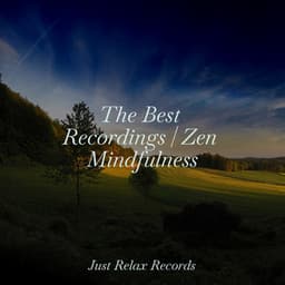 The Best Recordings | Zen Mindfulness - Yoga Namaste