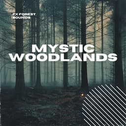 Mystic Woodlands: Serene Forest Melodies - FX Forest Sounds