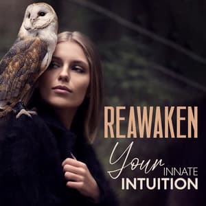 Reawaken Your Innate Intuition: Soothing Meditative Music - Serenity Music Zone