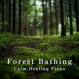 Forest Bathing: Calm Healing Piano - Relaxing BGM Project