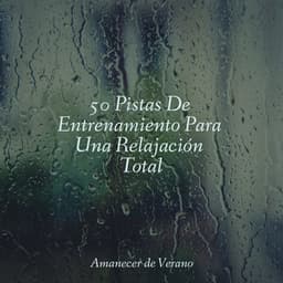 50 Pistas De Entrenamiento Para Una Relajación Total - Dulces Sueños