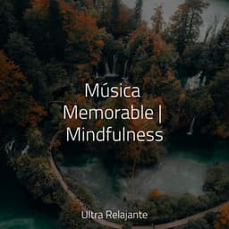 Música Memorable | Mindfulness - Meditación Interna