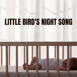 Little Bird's Night Song - Newborn Sleep Music Lullabies