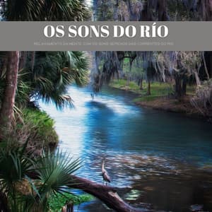 Os Sons Do Río: Relaxamento Da Mente Com Os Sons Serenos Das Correntes Do Rio - 1 Hora de Meditação