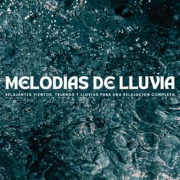 Melodías De Lluvia: Relajantes Vientos, Truenos Y Lluvias Para Una Relajación Completa - Príncipe de la lluvia