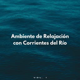 Ambiente De Relajación Con Corrientes Del Río Vol. 1 - Ambiente de agua
