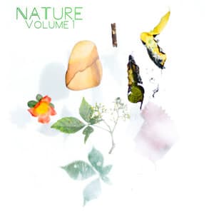 Nature, Vol. 1 - Naturgeräusche