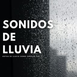 Sonidos De Lluvia: Gotas De Lluvia Sobre Árboles Vol. 1 - Fabricantes De Lluvia