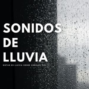 Sonidos De Lluvia: Gotas De Lluvia Sobre Árboles Vol. 1 - Fabricantes De Lluvia