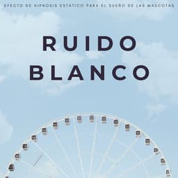 Ruido Blanco: Efecto De Hipnosis Estático Para El Sueño De Las Mascotas - Ruido Blanco