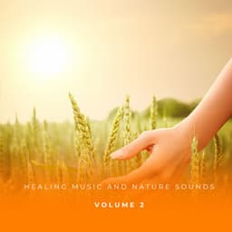 Healing Music And Nature Sounds Vol. 2 - Relaxed Minds