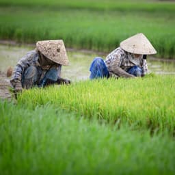 Tranquil Workday with Piano Raindrops - The Friendly Piano