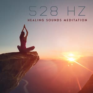528 Hz Healing Sounds Meditation: Miracle Healing Frequency, Positive Transformation, Aura Cleansing - Buddhist Meditation Music Set