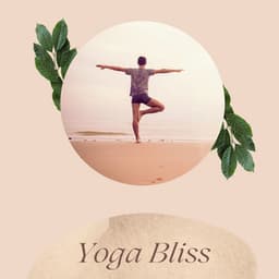 Yoga Bliss: Soft Piano Music and Natural Sounds for Mindful Movement - Destress Relaxing Music School