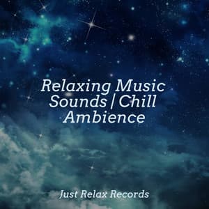 Relaxing Music Sounds | Chill Ambience - Calming Sounds