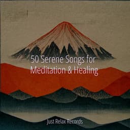50 Serene Songs for Meditation & Healing - Zen