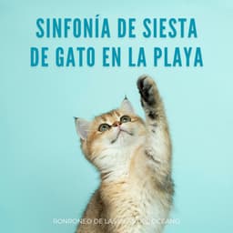 Sinfonía De Siesta De Gato En La Playa: Ronroneo De Las Olas Del Océano - Sonidos De La Naturaleza