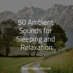 50 Ambient Sounds for Sleeping and Relaxation - Yoga Sounds