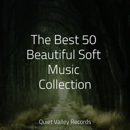 The Best 50 Beautiful Soft Music Collection - The Sleep Principle