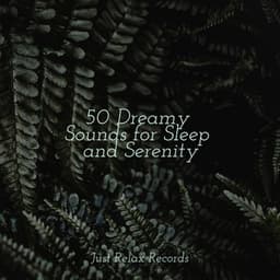 50 Dreamy Sounds for Sleep and Serenity - kinderliedjes