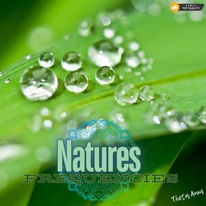 Nature's Ambience and Sounds Infused - Theta Aum