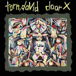 Door X - David Torn
