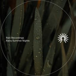 Rainy Summer Nights - Rain Recordings