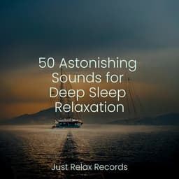 50 Astonishing Sounds for Deep Sleep Relaxation - Lullaby Land