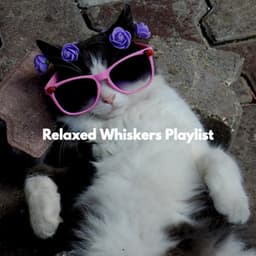 Relaxed Whiskers Playlist - Musique Matinale Calme Radio
