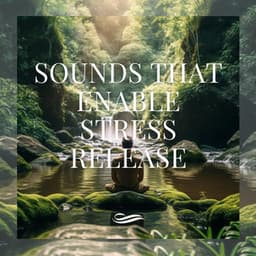 Sounds That Enable Stress Release - Re-Relaxation
