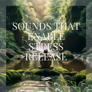 Sounds That Enable Stress Release - Re-Relaxation