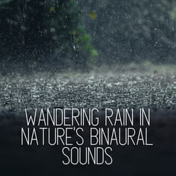 Wandering Rain in Nature's Binaural Sounds - Binaural Beats MT