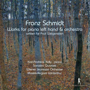Schmidt: Works for Piano Left Hand and Orchestra - Franz Schmidt