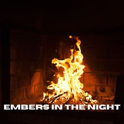 Embers in the Night - Fireplace at Home