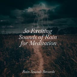 50 Exciting Sounds of Rain for Meditation - Cascada de Lluvia
