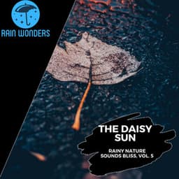 The Daisy Sun - Rainy Nature Sounds Bliss, Vol. 5 - Rain Sounds