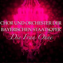 Die Fran Ohne Schatten - Richard Strauss