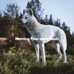 Morning Paw-some Beats - Gentle Morning Music