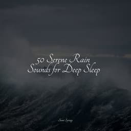 50 Serene Rain Sounds for Deep Sleep - Nature Sounds Collection