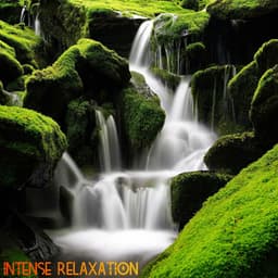 Intense Relaxation - Music For Absolute Sleep