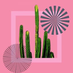 Scintillating Bgm for Deep Living - Jazz in the Background