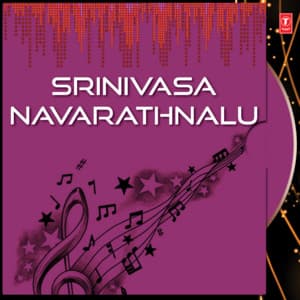 Srinivasa Navarathnalu - V. Ramakrishna