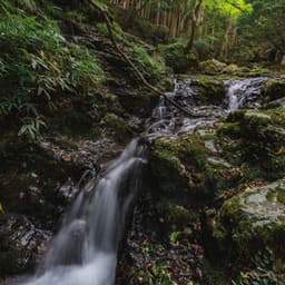 Sounds of the River - Water World
