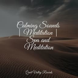 Calming Sounds | Meditation | Spa and Meditation - Sample Rain Library