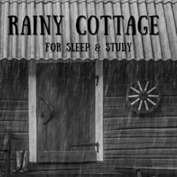 Rainy Cottage For Sleep & Study - Natural Sounds Selections