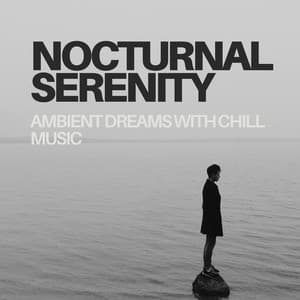 Nocturnal Serenity: Ambient Dreams with Chill Music - Silent Night Music