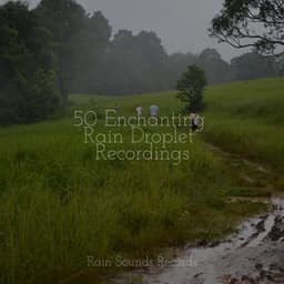 50 Enchanting Rain Droplet Recordings - Binaural Beats Brainwave Entrainment