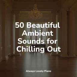 50 Soft Piano Tunes - London Piano Consort