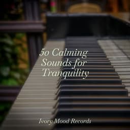 50 Calming Sounds for Tranquility - Ivory Mood