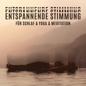 Entspannende Stimmung für Schlaf & Yoga & Meditation - Ruhigen Schlaf Akademie